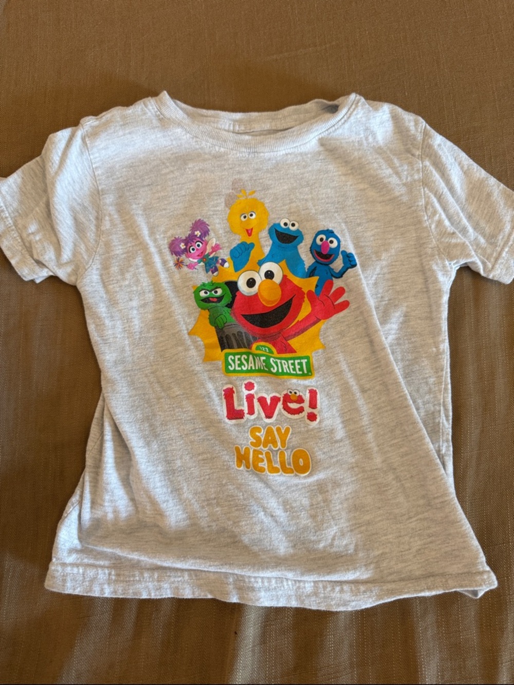 Sesame Street Light Grey Tee with Colorful Character Parade
